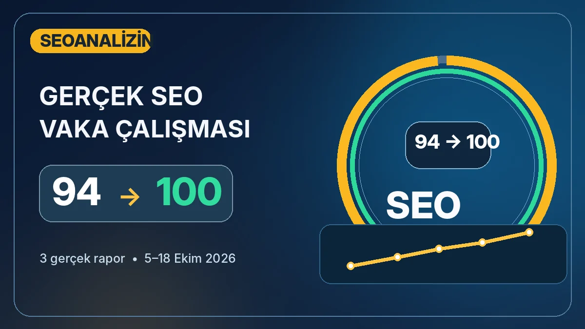 SEO Score from 94 to 100: A Real Audit Case Study
